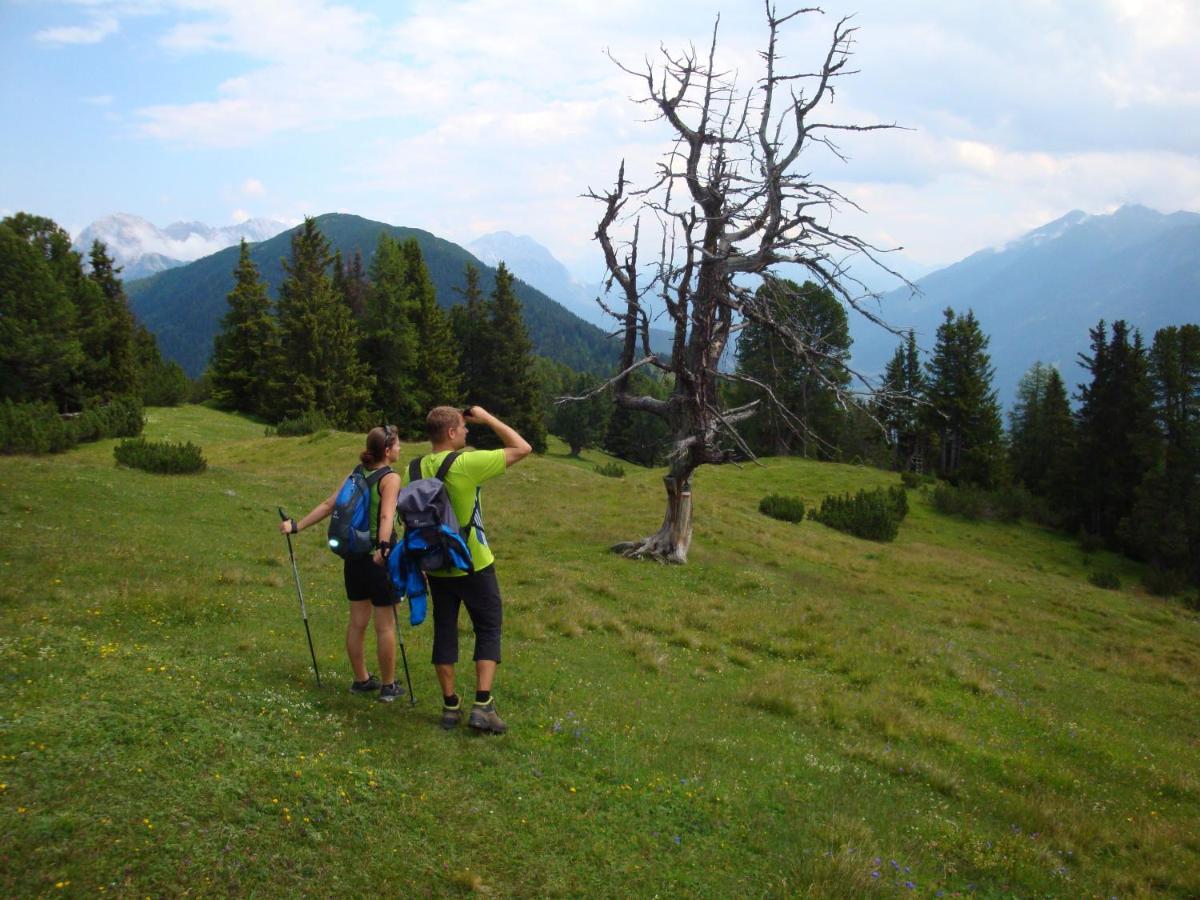 Activ-Family-Apart-Wisiol-Pitztal Sommercard Inklusive Jerzens Zewnętrze zdjęcie